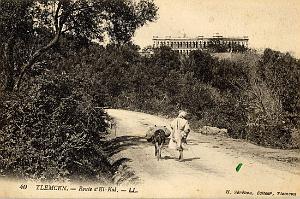 TLEMCEN 215- COLLECTION MONTANER